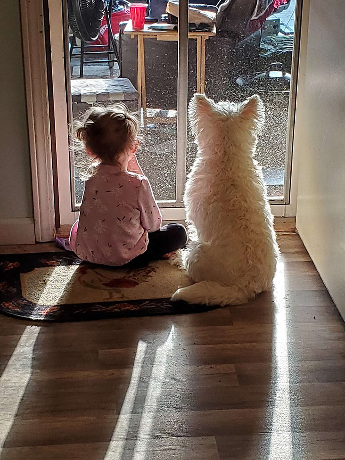 A pup and child watch things going on outside.