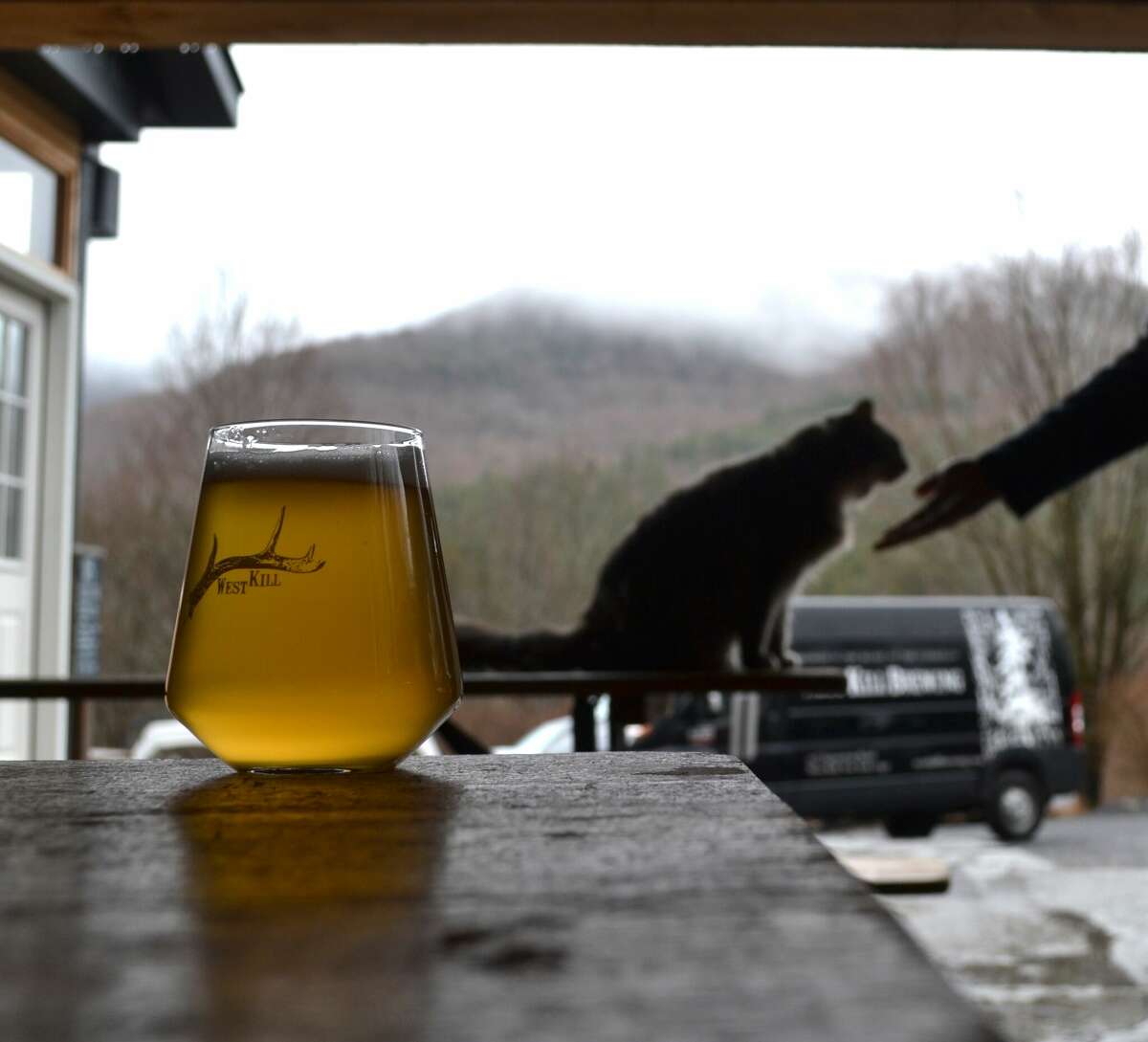 Fog engulfs the mountains on a rainy day at West Kill Brewing, while Brewery Cat Teddy gets some love from patrons.