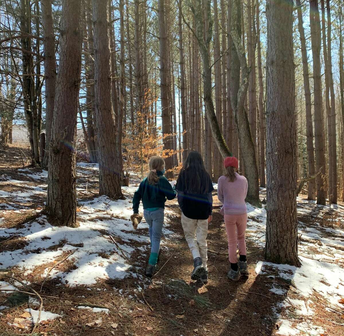 The Andes Rail Trail and Bullet Hole Spur route combine to create a family-friendly hiking outing in eastern Delaware County in the Catskills.