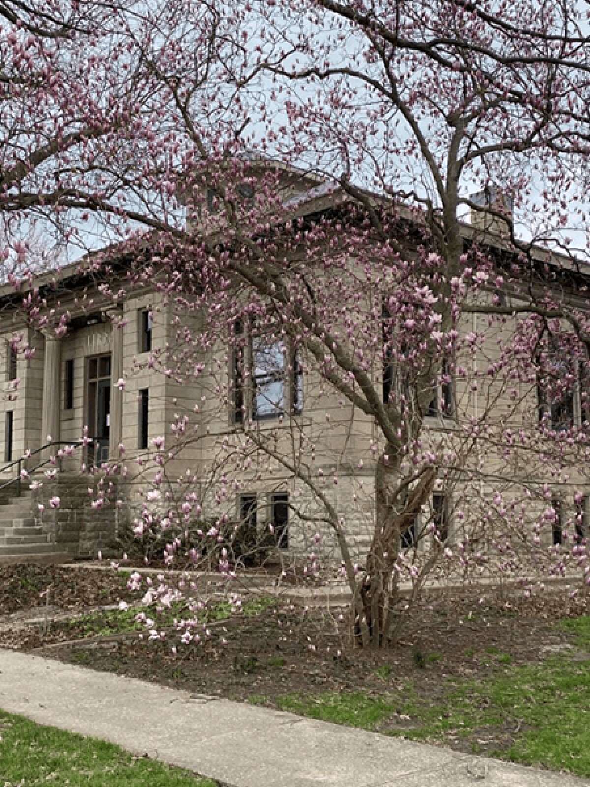 Jerseyville Public Library is a Carnegie Library in need of expansion to accommodate the library's growing offerings.