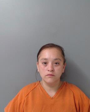 Affidavit: Drunk driver had two children in her vehicle - Vimarsana News