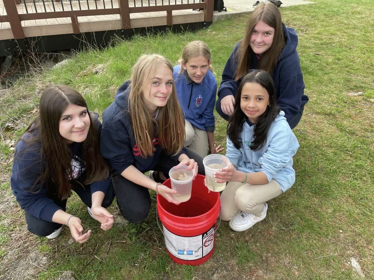 Manistee Catholic Central students prepare to release Chinook salmon into the Little Manistee River on Friday.