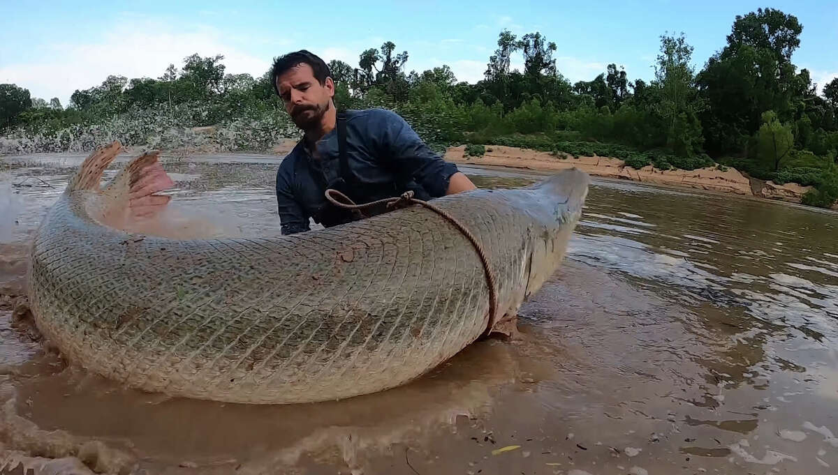 Houston fisherman catches 300-pound alligator gar in YouTube video