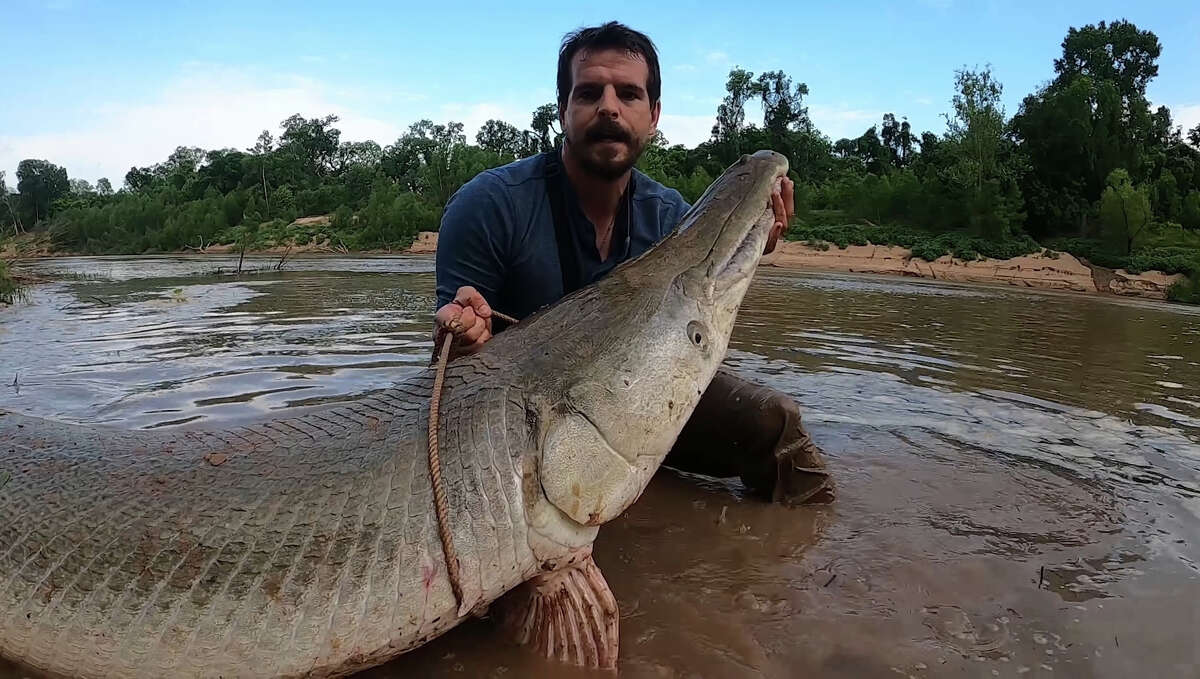 Houston fisherman catches 300-pound alligator gar in YouTube video