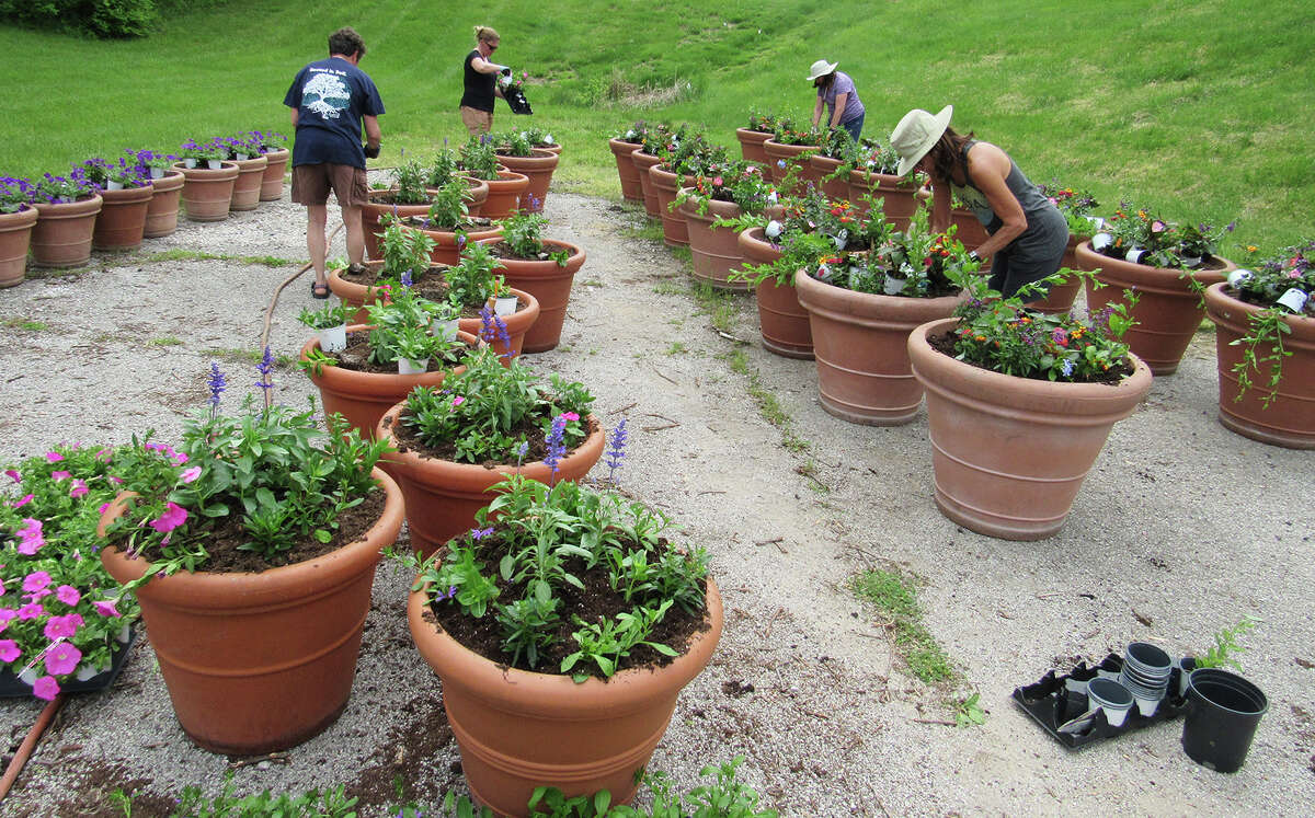 Members of the Edwardsville Beautification and Tree  Commission plant flowers in large pots on Tuesday. The pots will be placed along Main Street in downtown Edwardsville.