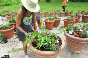 Flowers to beautify Main Street thanks to Edwardsville green thumbs