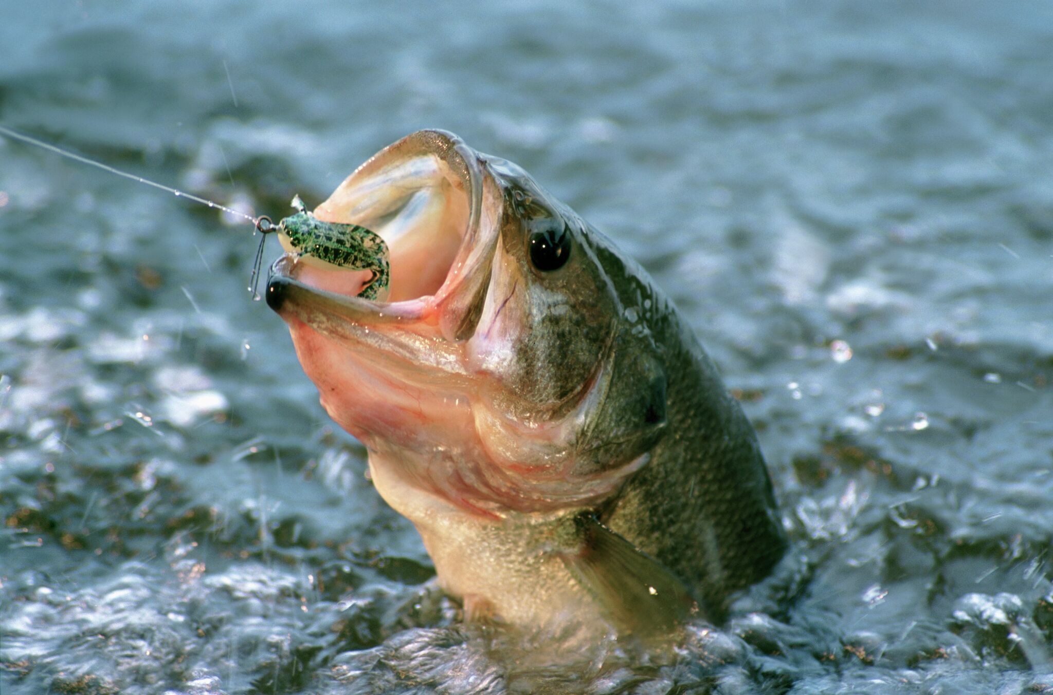 Texas lake tops best places in the nation to fish for bass