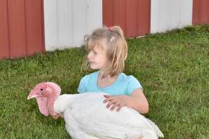 No fowl: Mecosta County Fair impacted by the bird flu