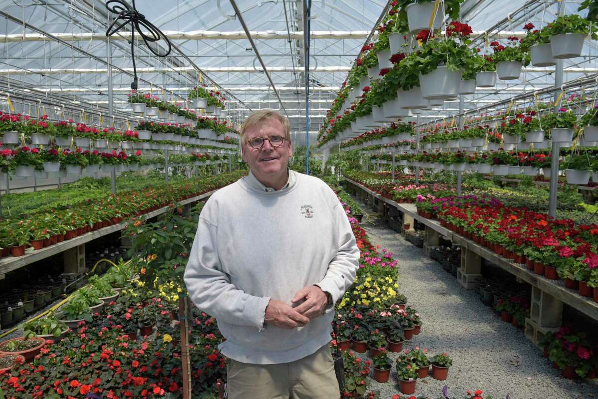 Eugene Reelick, owner of Hollandia Nursery. Hollandia has been awarded a state agriculture grant that will be used to install an automated irrigation system in Greenhouse 912, its newest. The system will automatically water or not water the plants by the weight of the pot. The green house already has an automated system that opens and closes the roof, depending on the temperature inside, to regulate the temperature. Tuesday, May 10, 2022, Bethel, Conn.