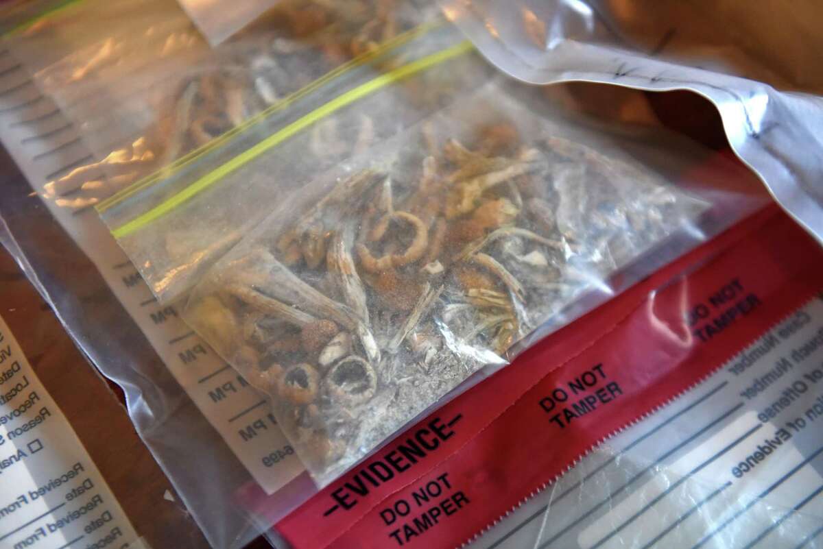 ounce of shrooms