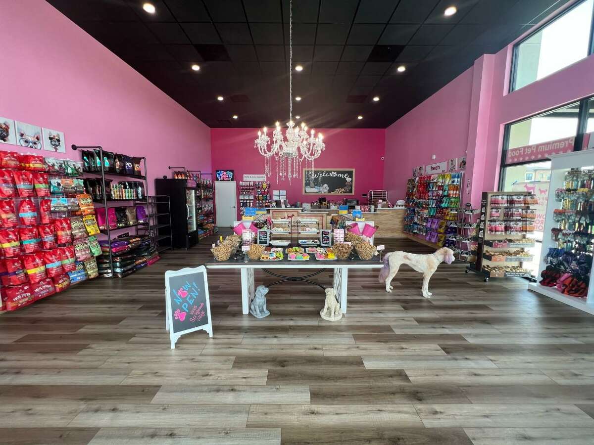 first-of-two-new-woof-gang-bakery-grooming-locations-holds-grand