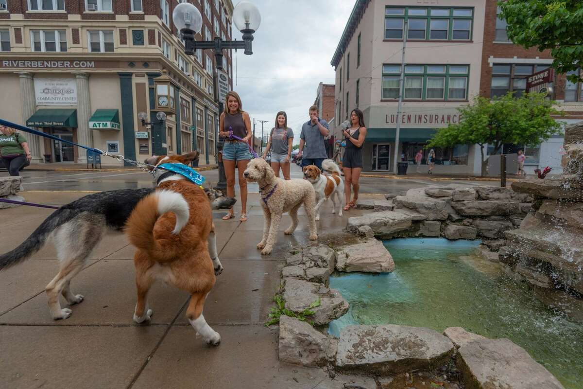 In this file photo, participants in the annual Alton Pup Crawl meet up in 2018. This year's event steps off at 1 p.m. Saturday with more than two dozen businesses participating.