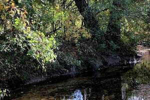 Mitchell Creek at Clay Cliffs Nature Area in Big Rapids could get a facelift