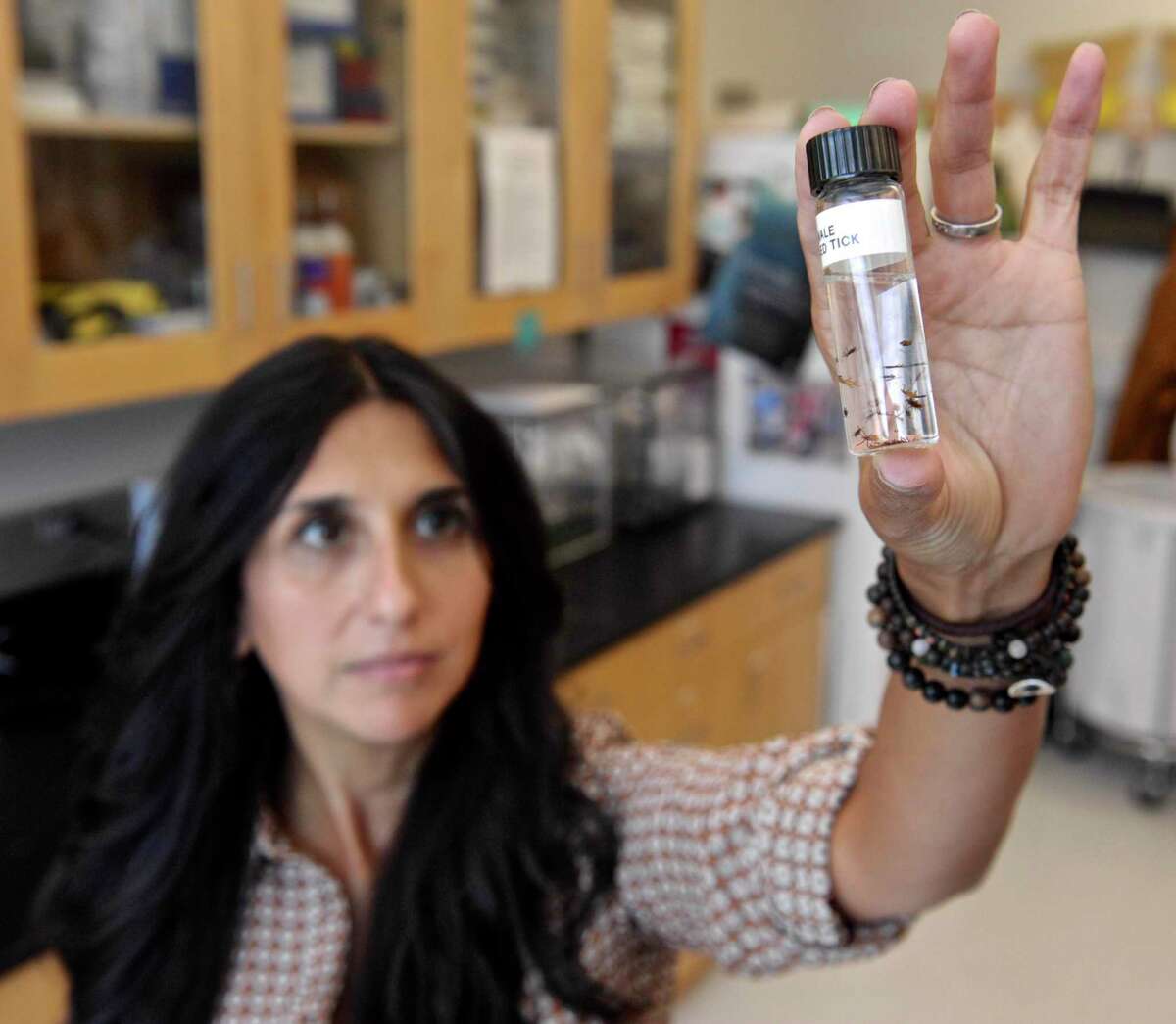 Western Connecticut State University professor Neeta Connally holds up a sample of adult ticks in her lab on Thursday, September 15, 2016, in Danbury, Conn. She has been appointed a Connecticut State University Professor by the Connecticut State Colleges and Universities’ Board of Regents