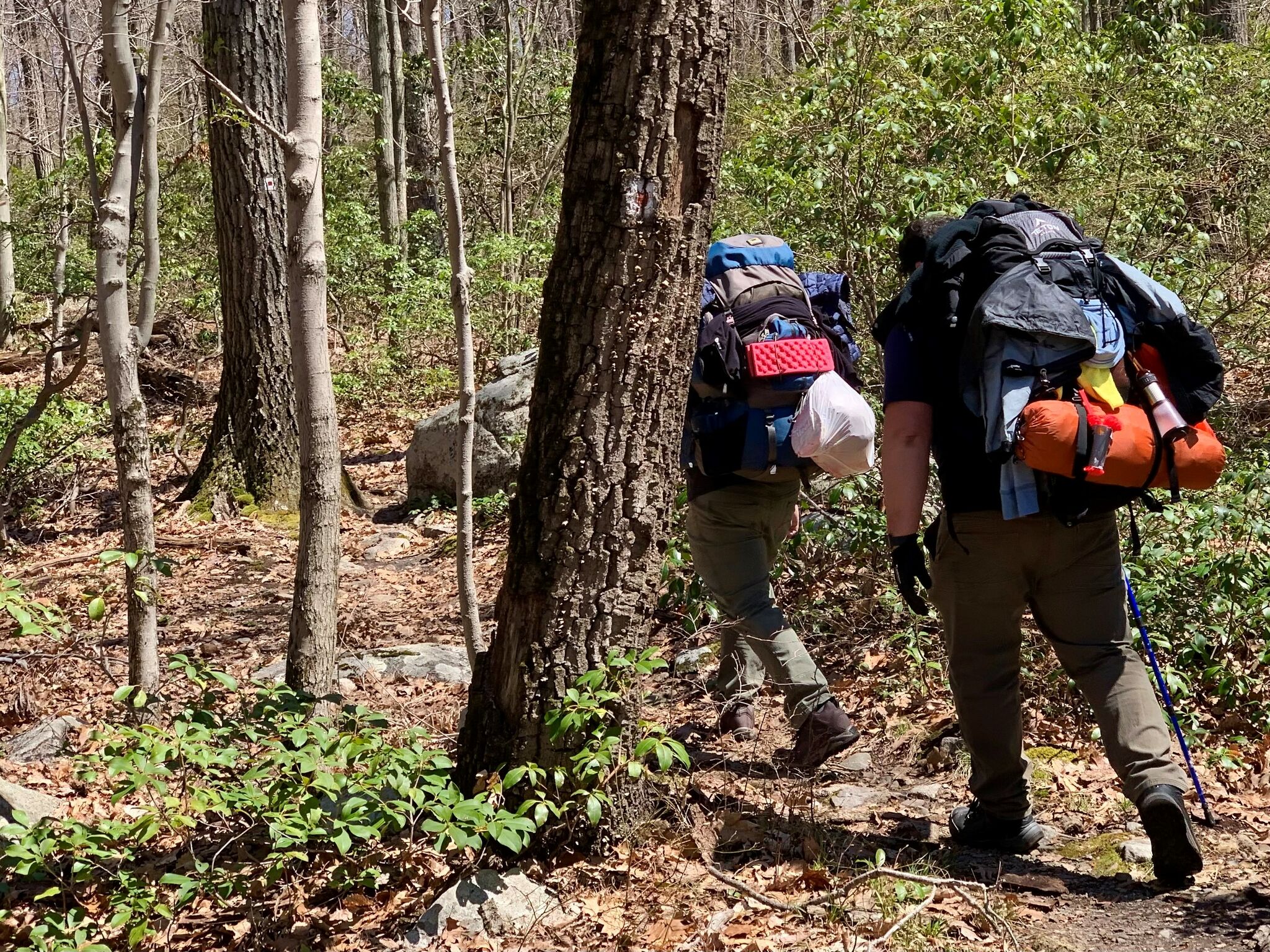 Harriman state hotsell park backcountry camping