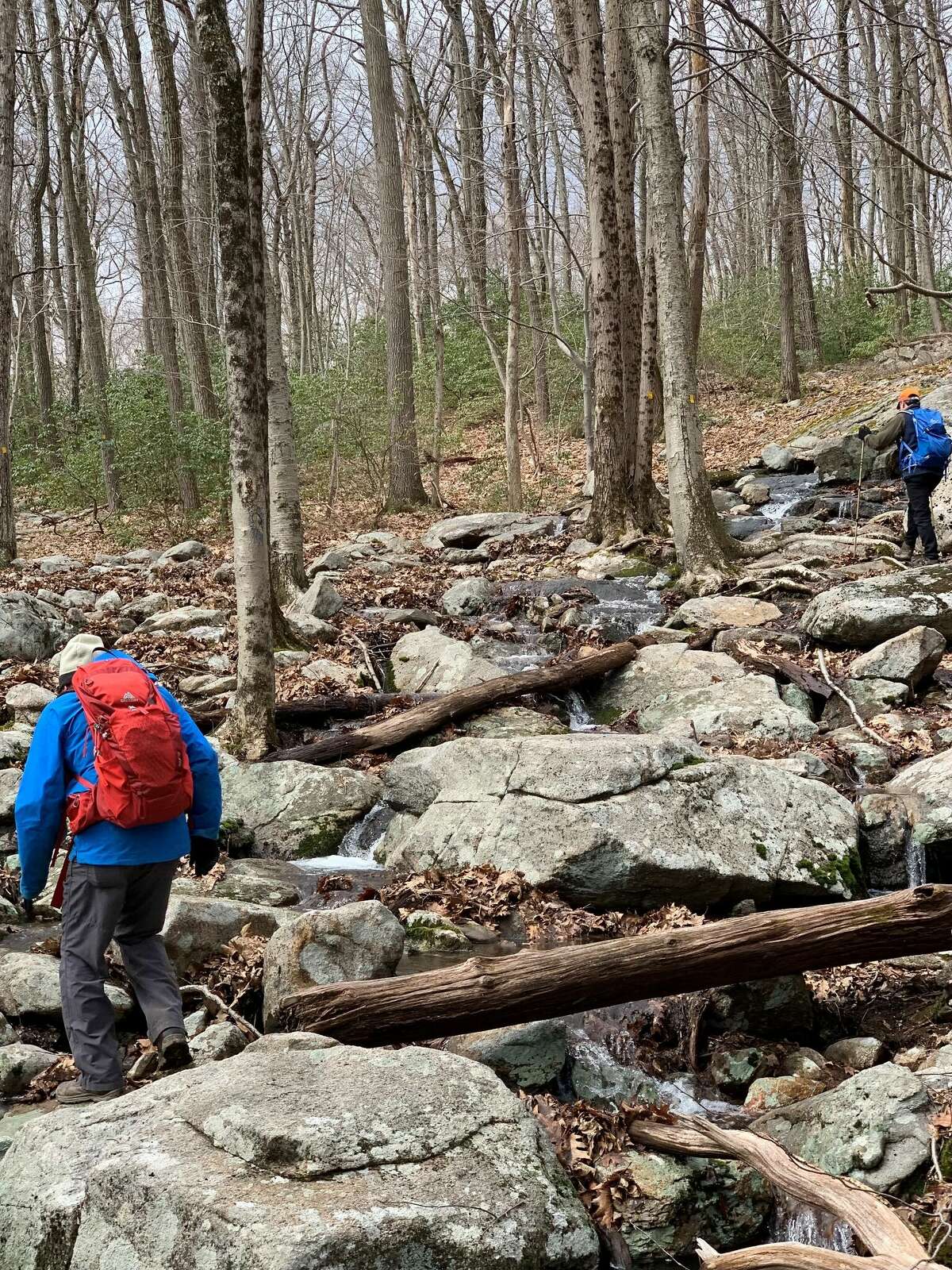 Taking day trips to hike is a good way to test gear like shoes and backpacks before diving in to an overnight camping trip.