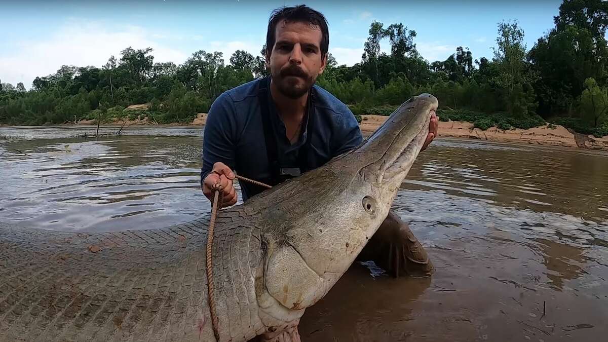 YouTuber and Sugar Land angler Payton Moore posted video on Saturday of his extended battle landing one of the largest unofficially recorded alligator gars ever captured in North America.
