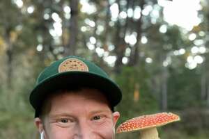 What's behind the mushroom mania?