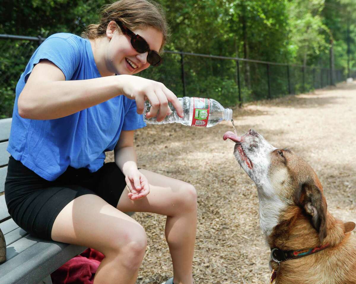 Caroline Batton pours some water to help her dog, Cinnamon, cool off in the 90-degree heat during a visit to the Bear Branch dog park, Wednesday, May 11, 2022, in The Woodlands. Hot and sunny weather is expected to continue across Montgomery County this week, with high temperatures reaching into the low-to mid-90s expected to continue though the weekend.