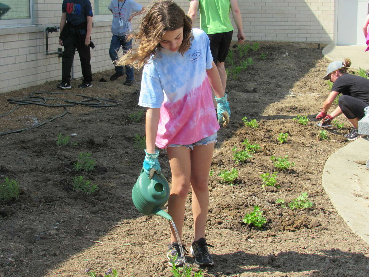Annica Miller waters the new plants in the Liberty Middle School courtyard. 