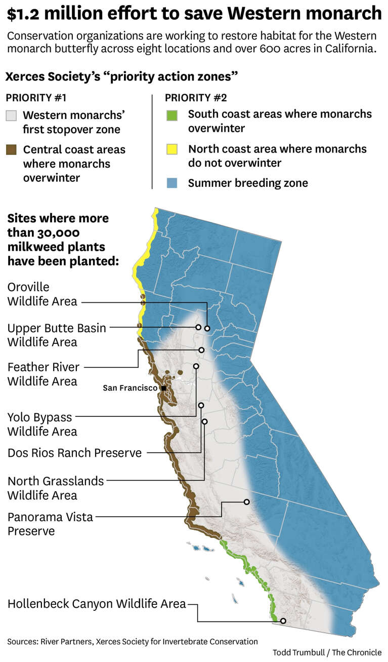 California launched a high-stakes plan to save its monarch butterflies ...