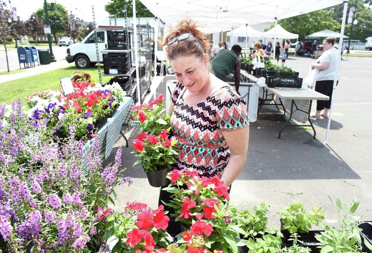 Cynthia Coppola of East Haven picks out flowers from Vaiuso Farms of Branford at the East Haven Farmer's Market.