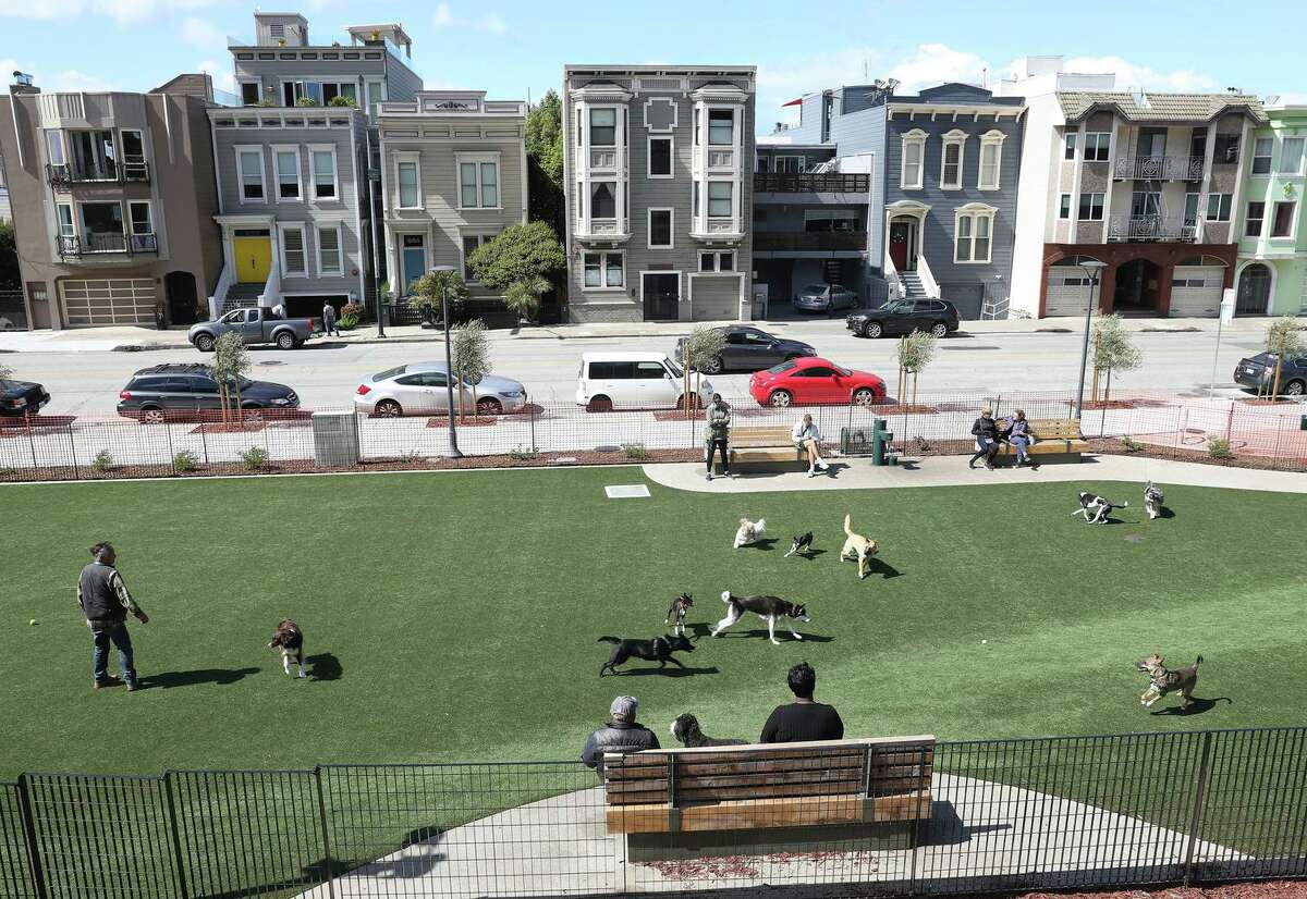 The new dog run at Francisco Park fronts Bay Street, with the impressive park rising up the hill.