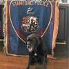 Cronin, a retired police dog from the Stamford Police Department, died at the age of 13 Friday. He worked with the department for eight years.