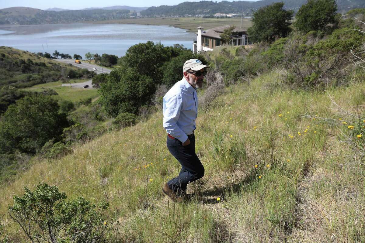 Bruce Dorfman, CEO of Education Housing Partners, walks on state-owned property in Larkspur above the site where a proposed affordable housing complex would be built between the San Quentin State Prison and multimillion dollar homes.