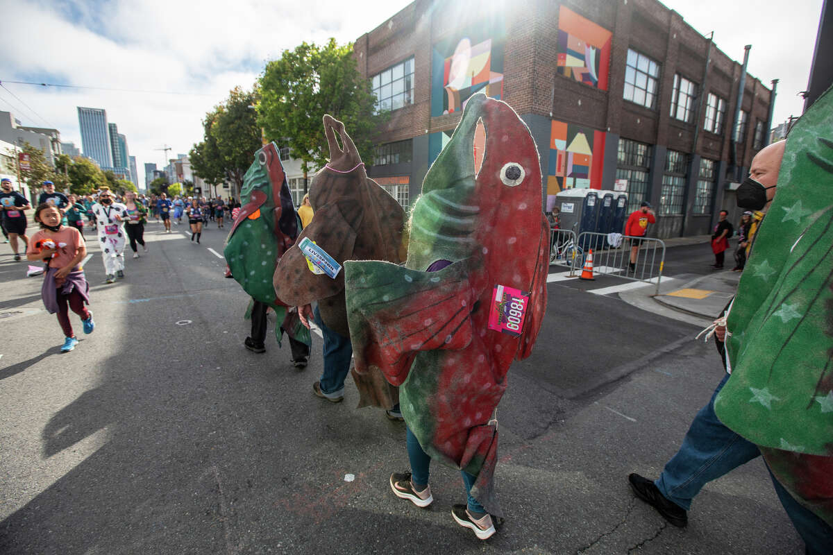 The tradition of running the Bay to Breakers course backwards — called "salmoning" because salmon swim upstream to spawn — often involves dressing as a fish.