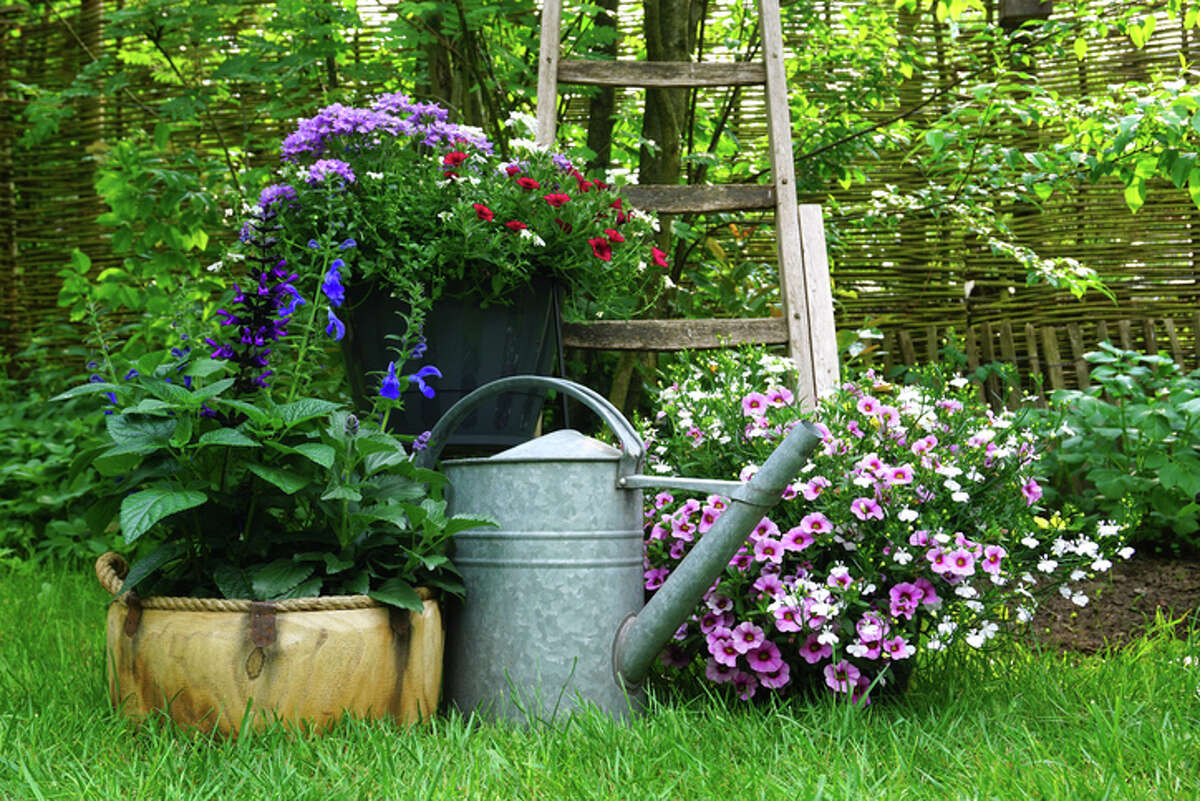 Eight gardens in the Jacksonville area will be open to visitors June 12 for the Morgan County Garden Club’s 2022 Garden Walk.