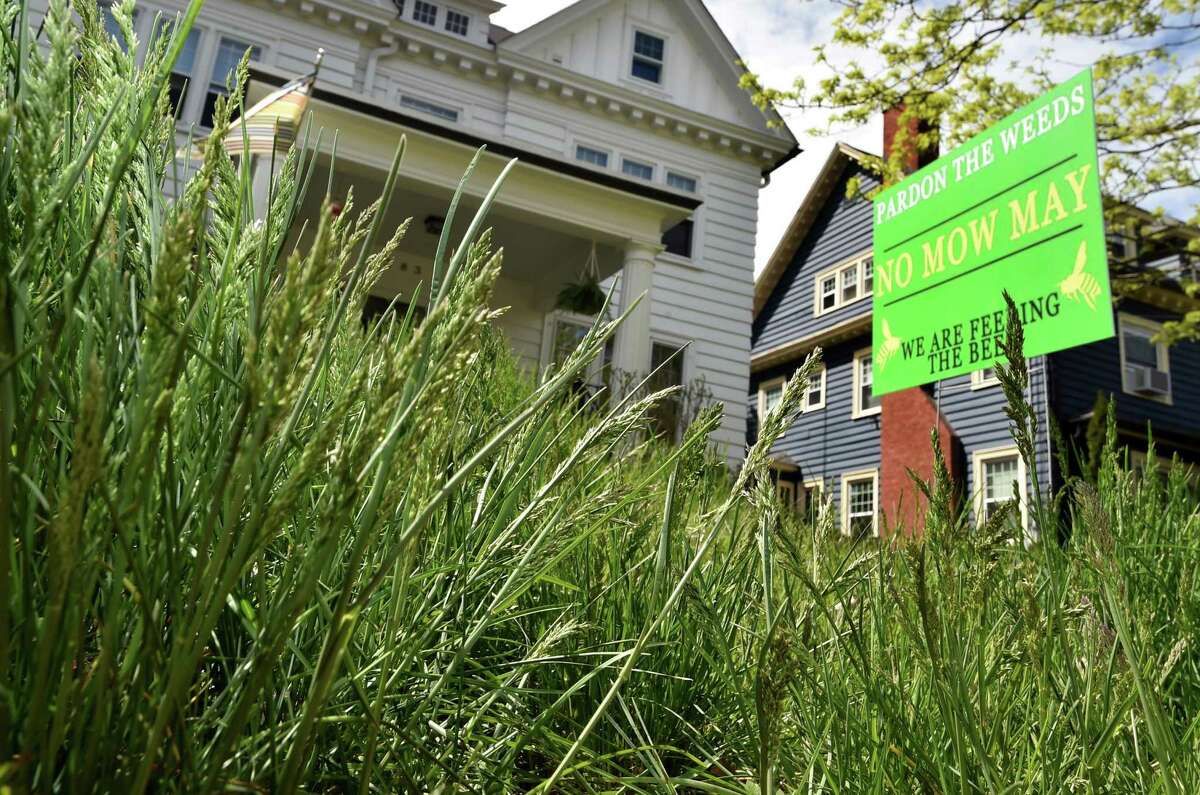 A view of a home with tall grass and a sign promoting No Mow May in Hartford, Conn., on Wednesday May 11, 2022. The No Mow May movement, which is prominent in at least five other states in the country, is where people decline to mow their lawns for the month to encourage the emergence of bees and other pollinators. Mally Cox-Chapman, a resident who has been leading the No Mow May charge, lives around the corner from this home.