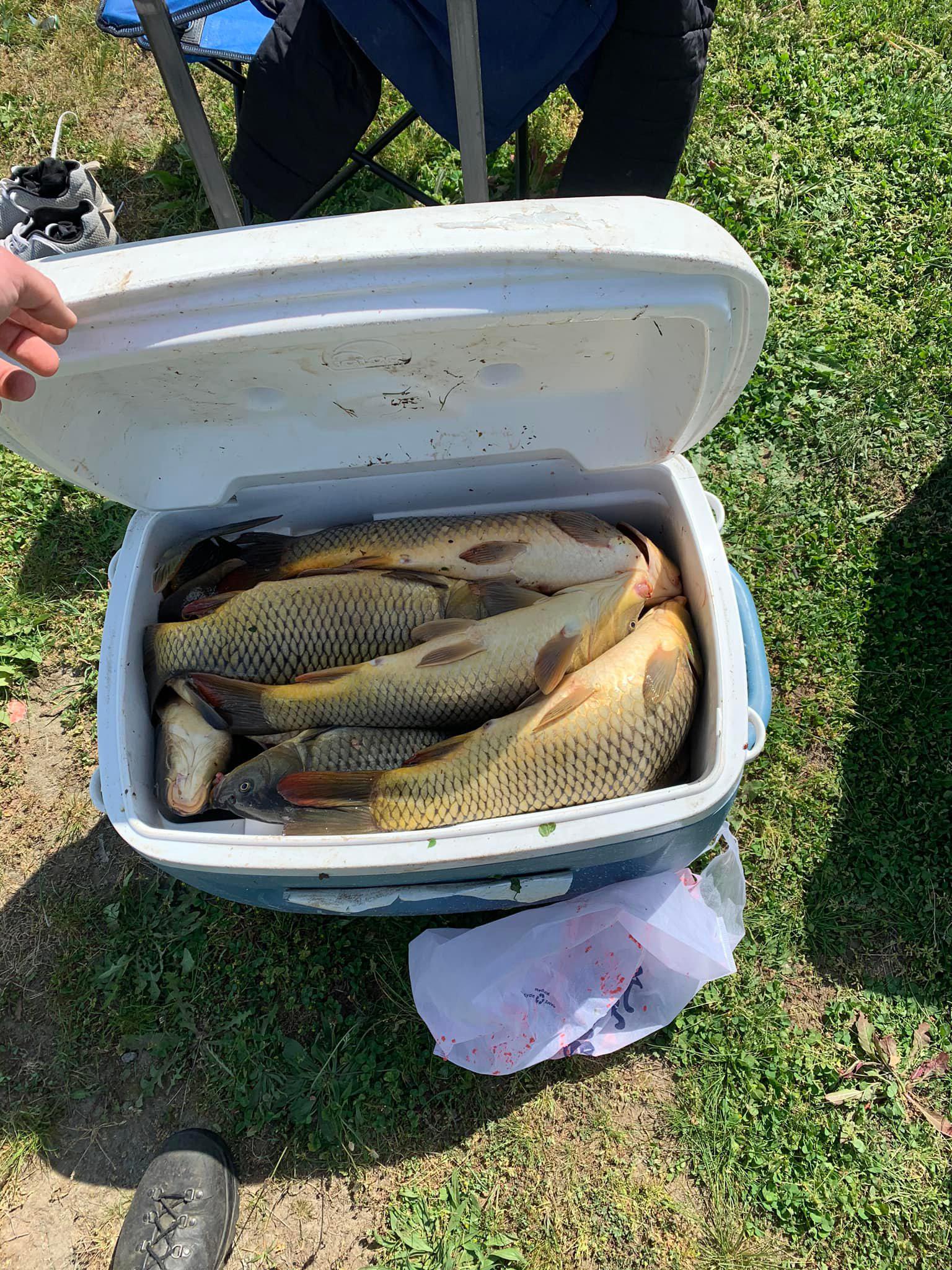 Police: Fishermen fined thousands for catching too much carp from Connecticut River - Vimarsana News