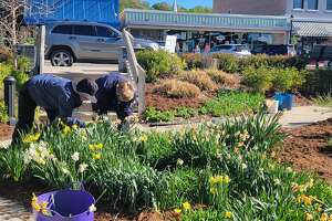 Manistee Coast Guard members aid in Frankfort garden clean up