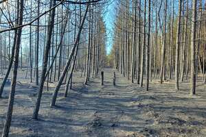 Firefighters have northern Michigan fire 98% contained