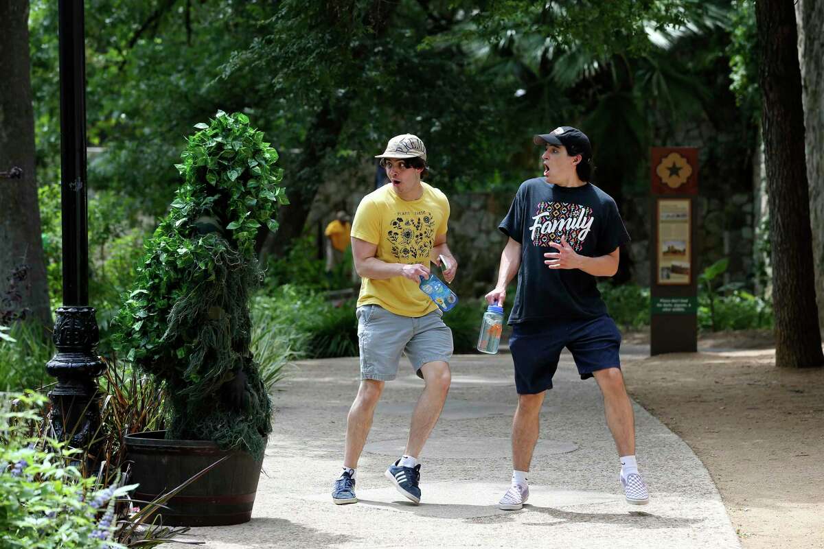 James Lea, center, and Nico Gonima, right, get pranked by the Texas Bushman along the River Walk. Joe Jones, 33, covers himself in fake ivy and squats inside a planter to prank passersby, then posts videos of their reactions on YouTube and social media.