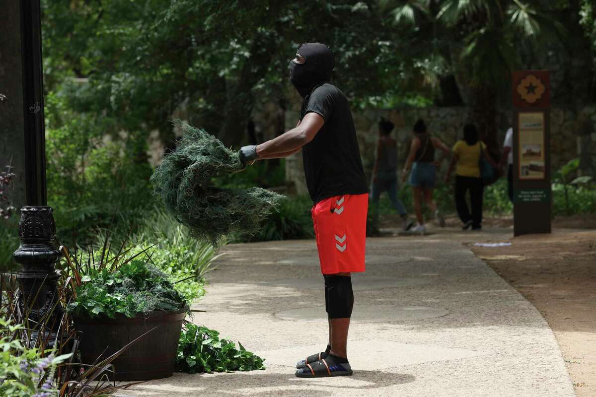 Joe Jones, 33, prepares to prank people along the River Walk. Known as the Texas Bushman, Jones covers himself in fake ivy and squats in a planter to scare passersby. Jones records the interactions and posts the videos on YouTube and social media.