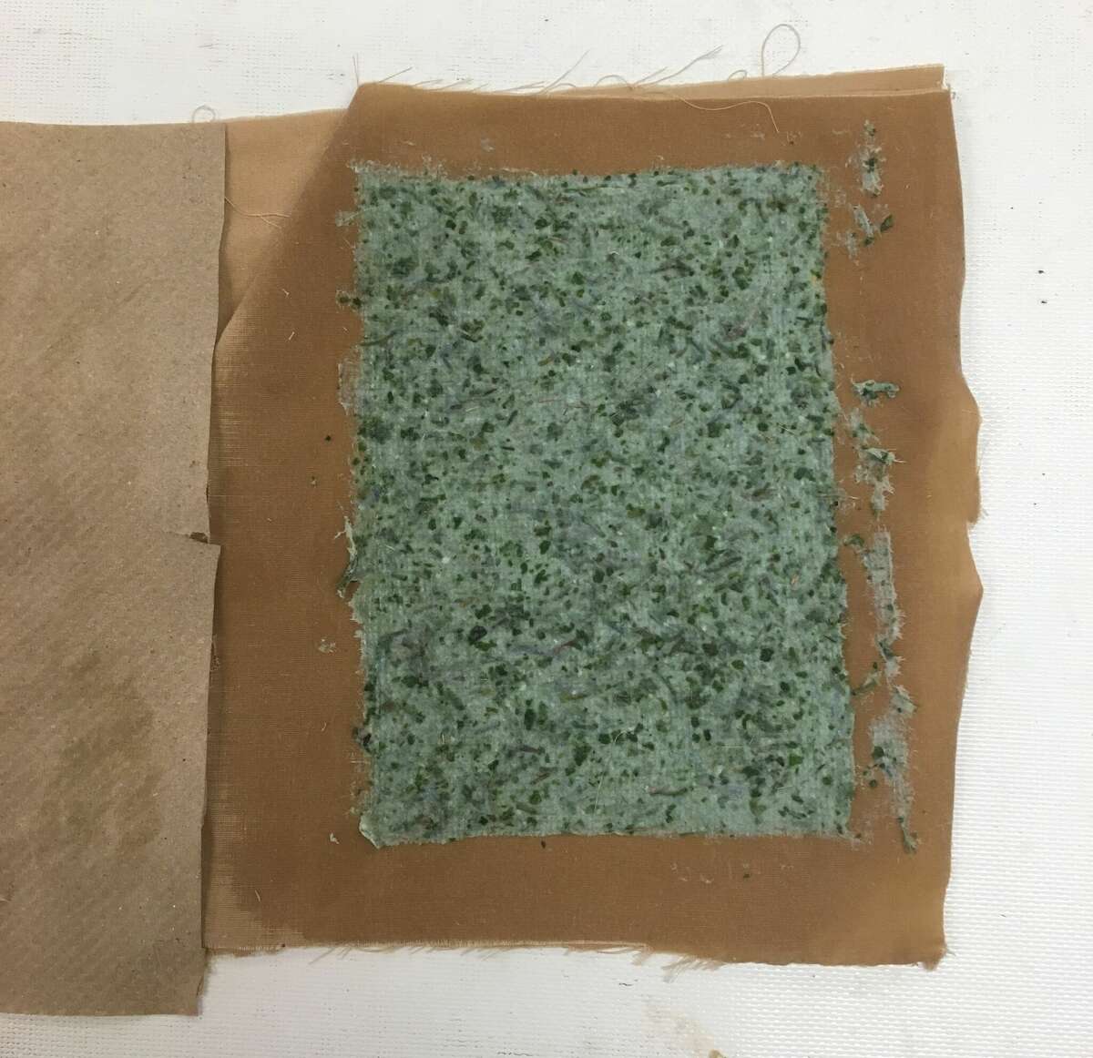 Garlic mustard, an invasive species, is used to create kraft paper.