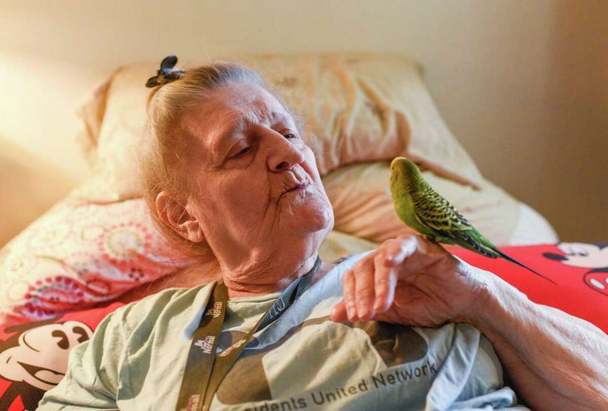 Judy Jackson, 76, plays with her pet parakeet, Rainbow, a comfort animal for depression, at her apartment in Berkeley. Jackson ended up homeless more than two decades ago after she suffered health issues and lost her job as a teacher. “People think all homeless people are drug users or alcoholics. I'm here to prove that’s not true,” she said.