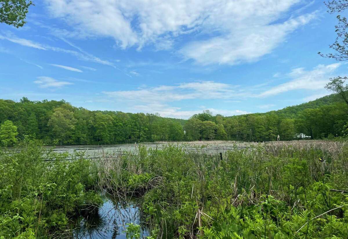 The Middletown Highland Pond dam removal project has been met with some backlash from residents.