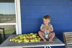 Texas toddler orders 31 McDonald's cheeseburgers via DoorDash