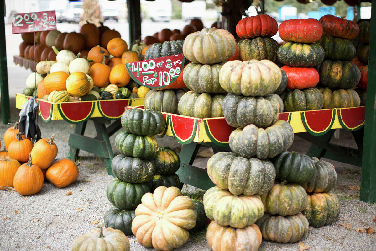 A photo of pumpkins at a farmers market. 