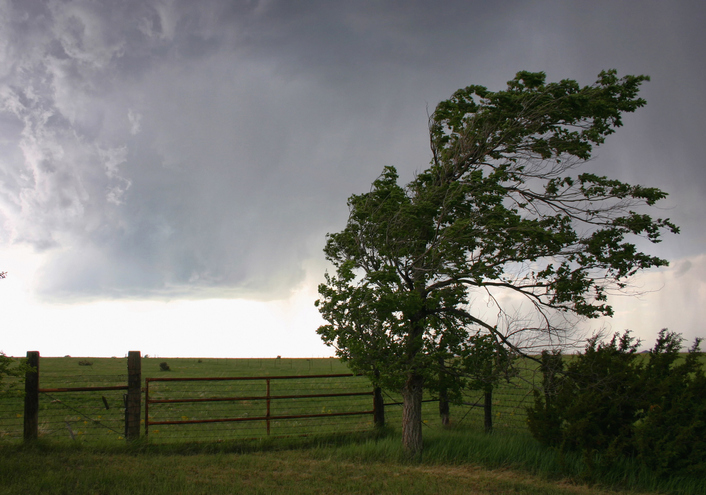 Alton, Edwardsville and Jacksonville will be experiencing thunderstorms, high winds next few days - Vimarsana News