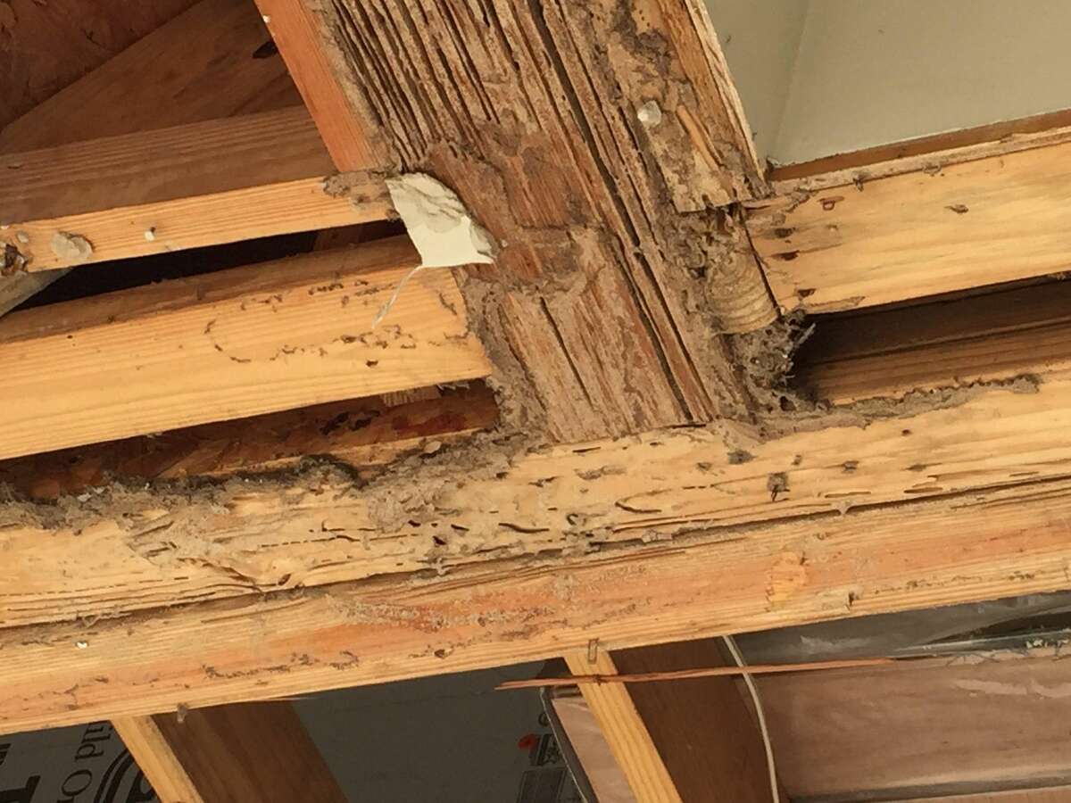 Bart Foster, technical and training director for Beaumont’s Bill Clark Pest Control, said termites caused thousands of dollars in damage for this homeowner after it invaded a porch with beams supporting the homes roof. Photo originally posted in May 2022.