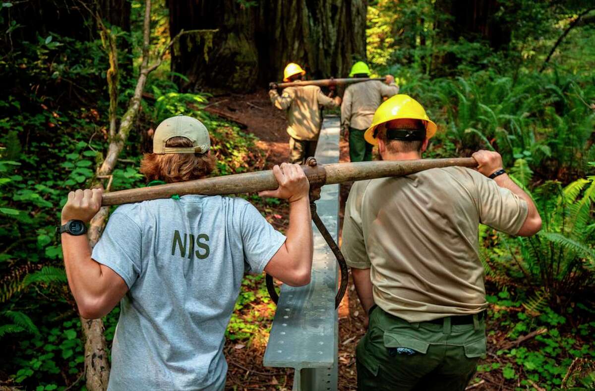 Workers help with installing a boardwalk at the Grove of Titans intended to protect the trees from an increased number of visitors.