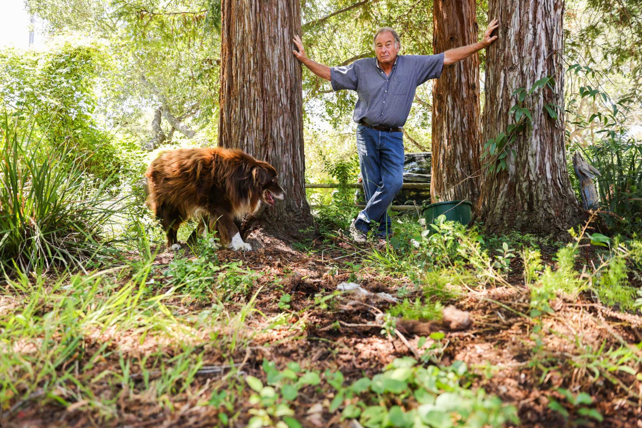 This winemaker is turning to a crop that has yet to take off in California — and can go for $1,000 a pound - Vimarsana News