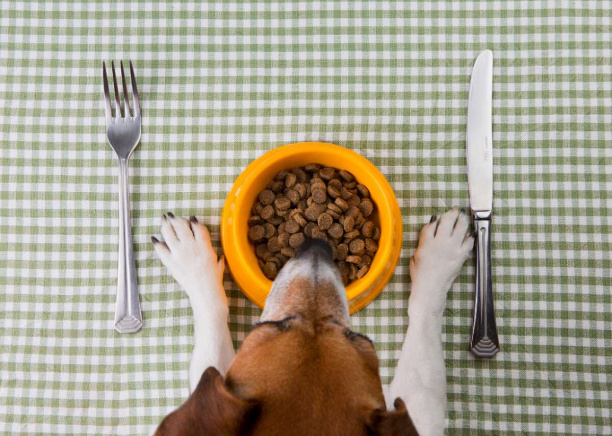 Debunking common pet food myths Misinformation in the pet food market is prevalent. This can be detrimental to companion animals on many levels, especially with growing reports of pet obesity rates spiking in the United States. A 2006 article published in The Journal of Nutrition reported dogs and cats share growing obesity incidences ranging from 22% and 40%. Overweight pets are at risk for conditions ranging from osteoarthritis and joint disorders to cardiovascular disease, endocrinopathies, metabolic abnormalities, and decreased immune functions. Choosing the right diet for your pets can be a daunting experience. Veterinarians can offer guidance based on a pet’s age, size, health, and specific needs. Some good rules of thumb for owners: have complete nutritional assessments with your veterinarian throughout your pet’s life and monitor how your pet reacts to that diet. Go a step further and learn about food labels and pet food standards from the Food and Drug Administration and the Association of American Feed Control Officials. Still having trouble determining fact from fiction? ManyPets researched 10 of the most common misconceptions around pet food.