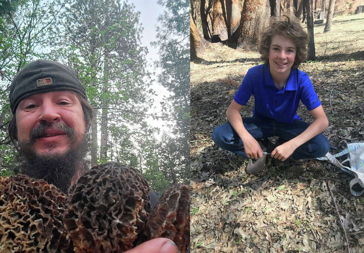 At left, Gabe Bridges holds handfuls of savory morels. He's foraged the Sierra Nevada for almost 30 years. Right, Alison Stanton's son Milo often accompanies his mom during mushroom foraging season. 