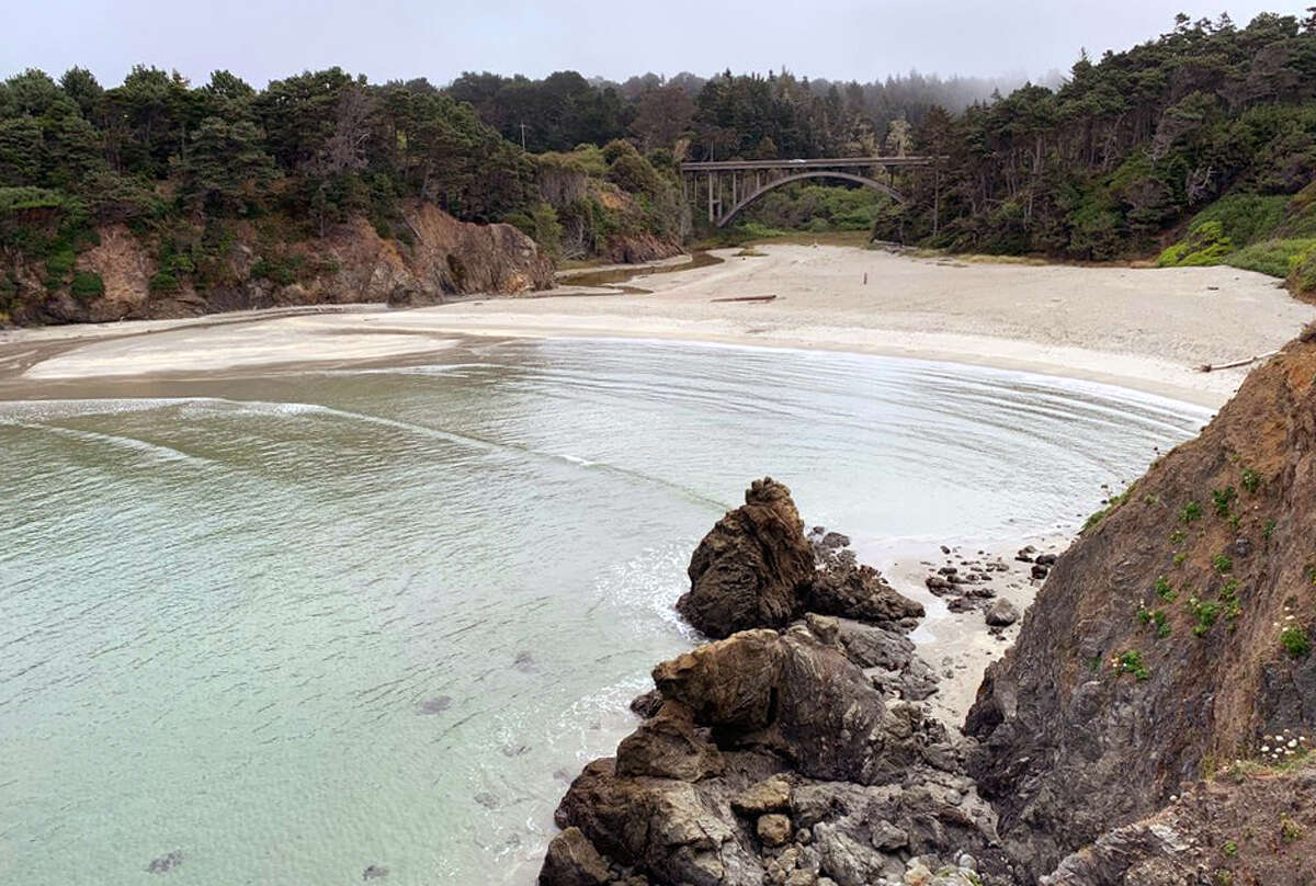 A view of Jug Handle State Natural Reserve, the section of coast where the beaked dolphin washed ashore.