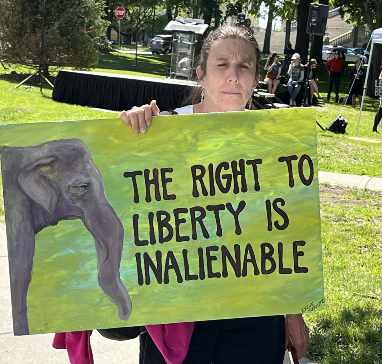 New York's top court to consider case of Happy the elephant - Vimarsana News